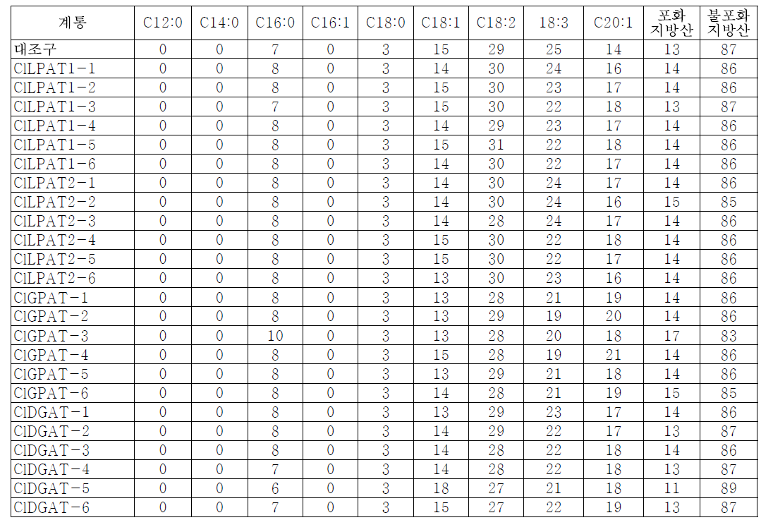 C. lanceolata 유래 acyltransferase 유전자 애기장대 종자(T1)의 지방산 조성