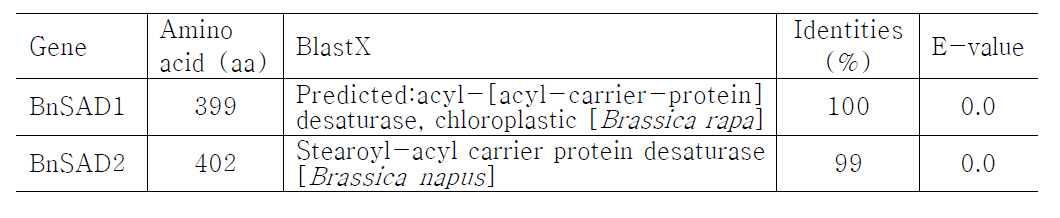 Brassica napus cv. Youngsan 유래 SAD 유전자의 유전정보