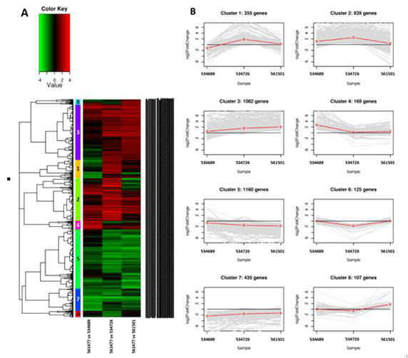 Clustering set II 분석 결과의 heat map & line plot. A) Heat map은 왼쪽부터 561477 vs 534689, 561477 vs 534726, 561477 vs 561501의 순으로 데이터 표현, B) Line plot은 heat map에 표현된 cluster를 패턴으로 표현