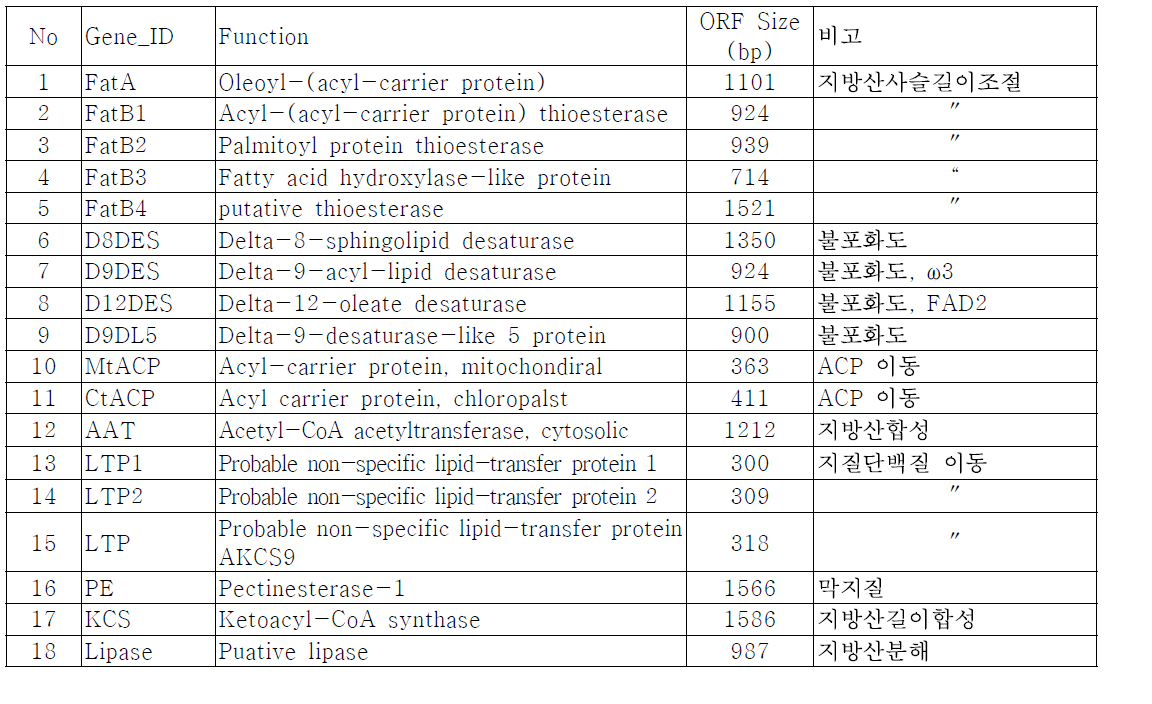 지방산 대사 관련 유전자 후보군 목록