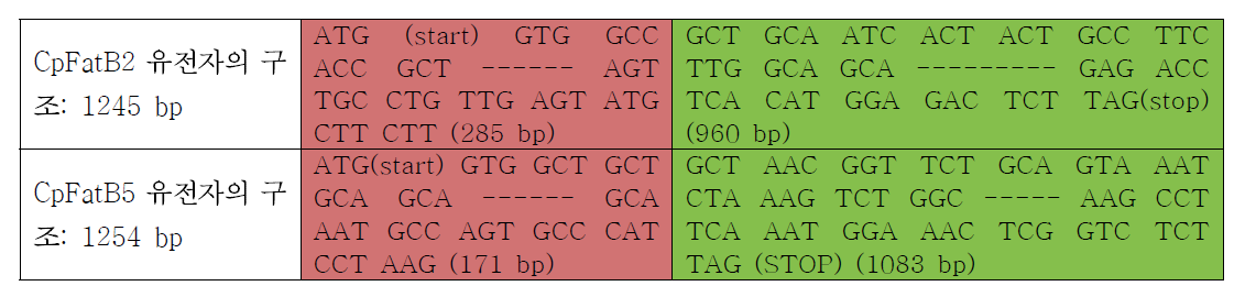 Cuphea paucipetala의 16:0 및 10:0 acyl-ACP thioesterase의 transit peptide 구성.