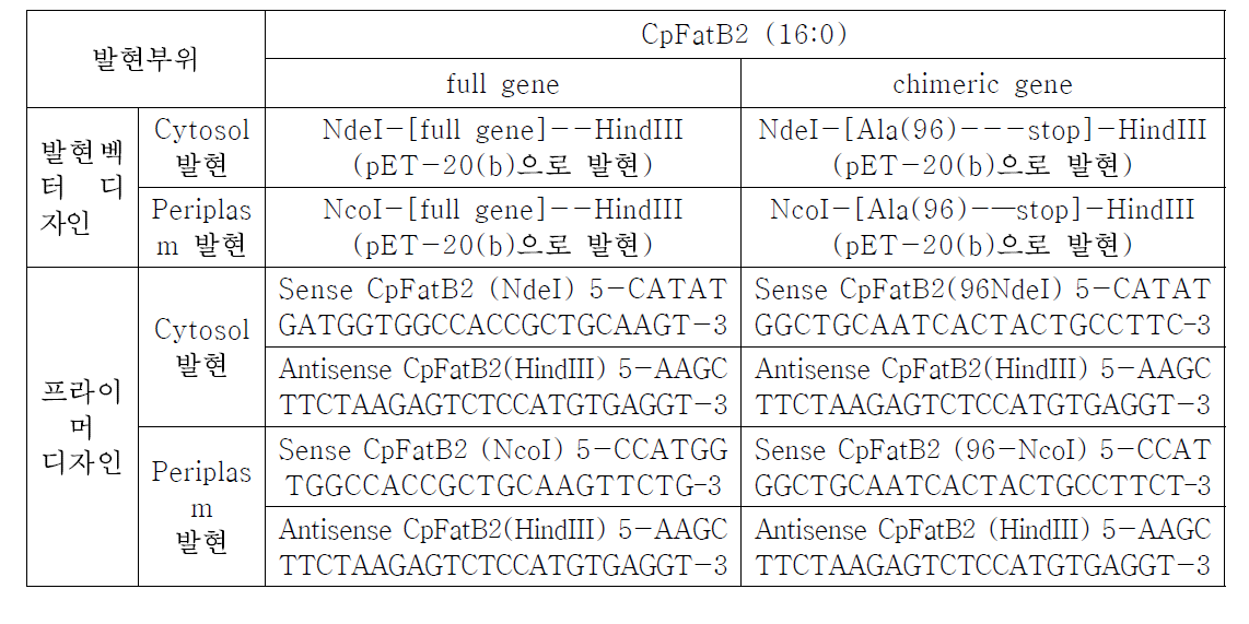 CpFatB2 유전자의 cytosol 및 periplasm 발현 벡터 및 primer 디자인