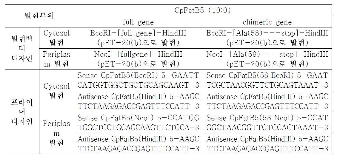 CpFatB5 유전자의 cytosol 및 periplasm 발현 벡터 제조 및 primer 디자인