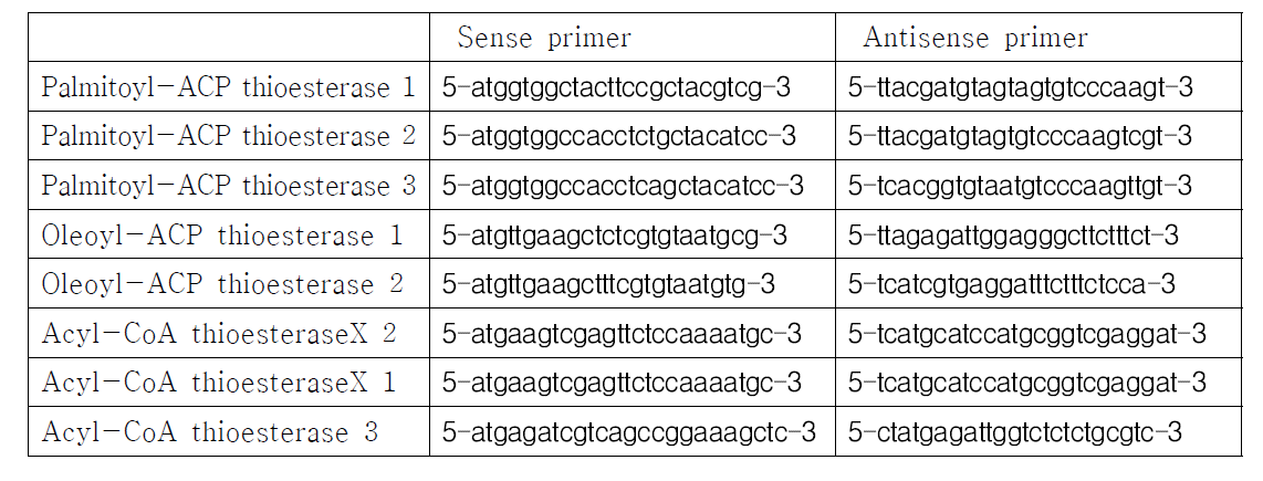 배추 (Brassica rapa pekinensis)의 지방생합성 효소 발현 실험을 위한 reverse transcriptase PCR 용 primer 디자인.
