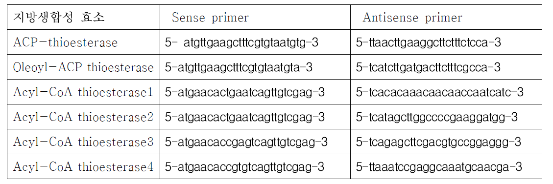 애기장대 (Arabidopsis thaliana)의 지방생합성 효소 발현 실험을 위한 reverse transcriptase PCR 용 primer 디자인.