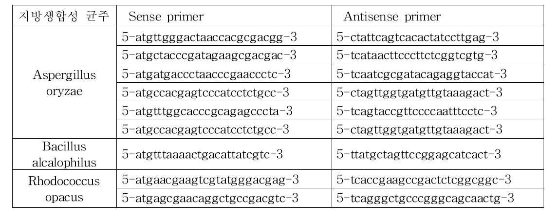 지방 생합성 미생물들로부터 지방 생합성 thioesterase 유전자들을 분리하기 위한 primer 디자인