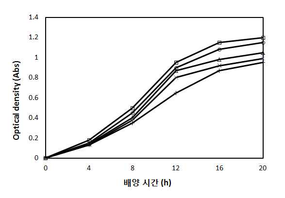 기존의 배지에 초산을 첨가하였을 경우의 E.coli BL21(DE3)의 성장