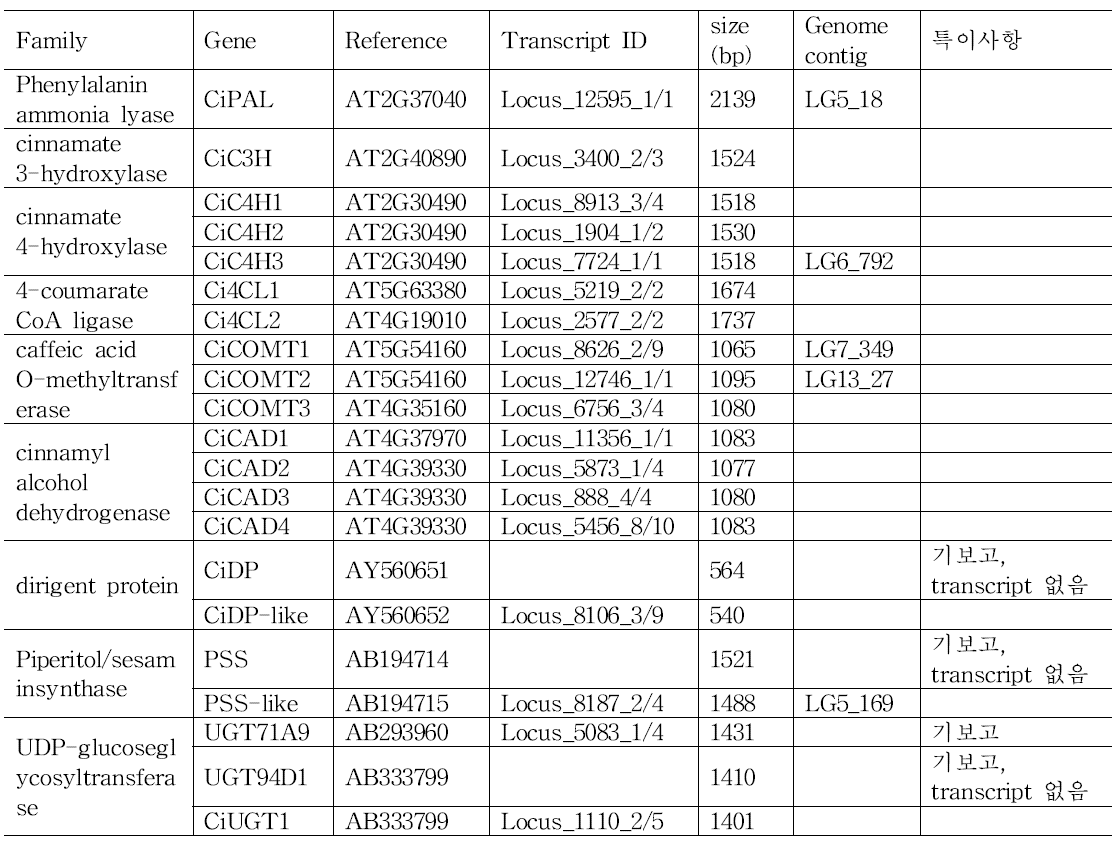 참깨 미숙종자 transcript에서 최종적으로 선발된 후보 유전자들