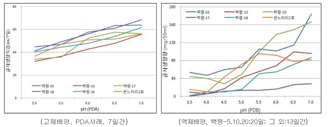 배지 pH에 따른 백령버섯 균주별 균사생장 정도