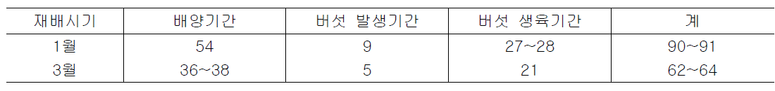 노루궁뎅이버섯의 동절기 재배기간(일)