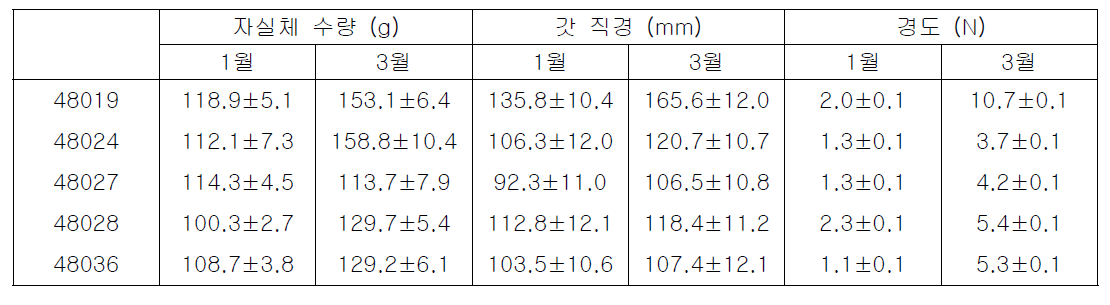 재배시기별 노루궁뎅이버섯의 수량, 직경, 경도