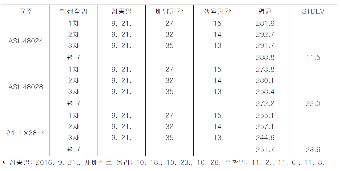 노루궁뎅이버섯 균주별 발생작업시기별 자실체 수량