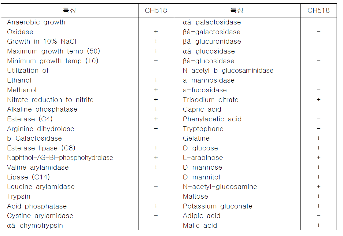 항균미생물 CH518 균주의 생화학적인 특성