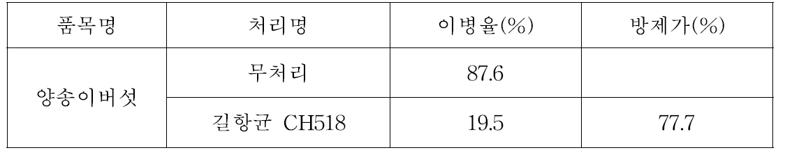 미생물 CH518의 푸른곰팡이병에 대한 방제효과