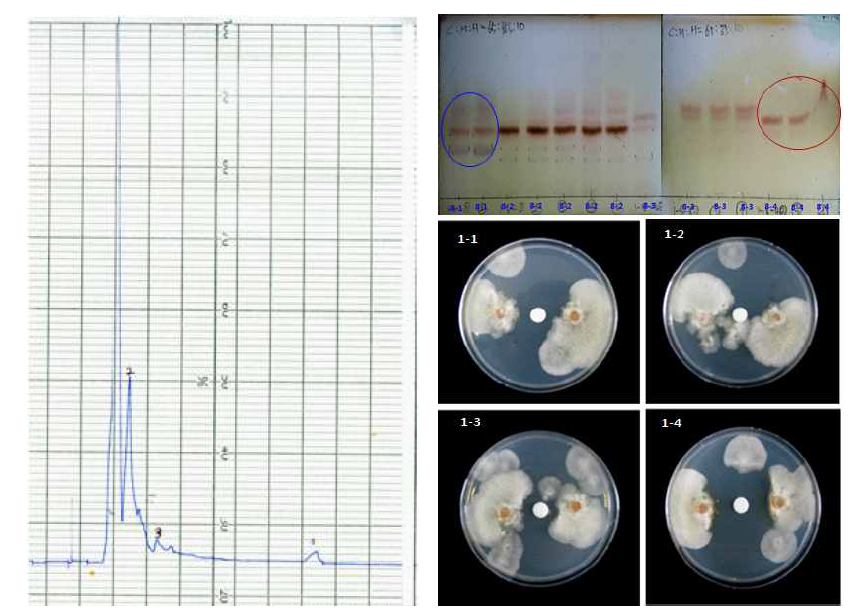 물질 1-8 분리층의 LC 분석 및 분리 peak의 항균효과