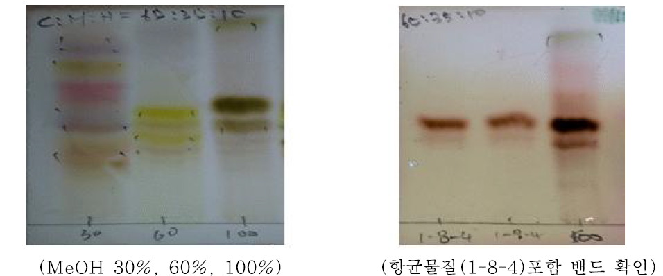 항균물질(1-8-4) 대량 확보를 위한 MUD추출물 BuOH층 분리