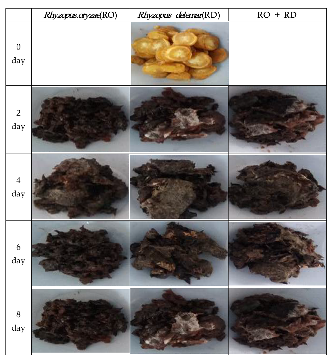 The process and product of Rhemannia glutinosa fermented with Rhyzopus strains.