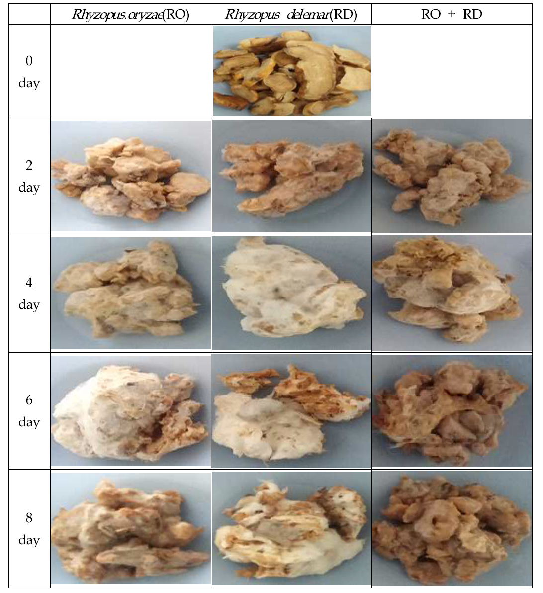 The process and product of Cynanchum wilfordii hemsley fermented with Rhyzopus strains