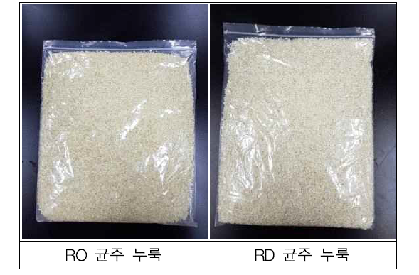 The process and product of Rhyzopus strains NuRuk.