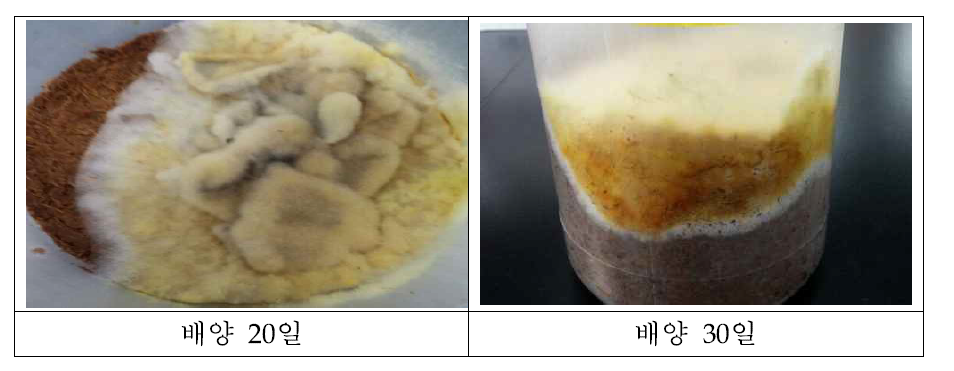 The process and product of Astragalus membranaceus fermented with P hellinus linteus.