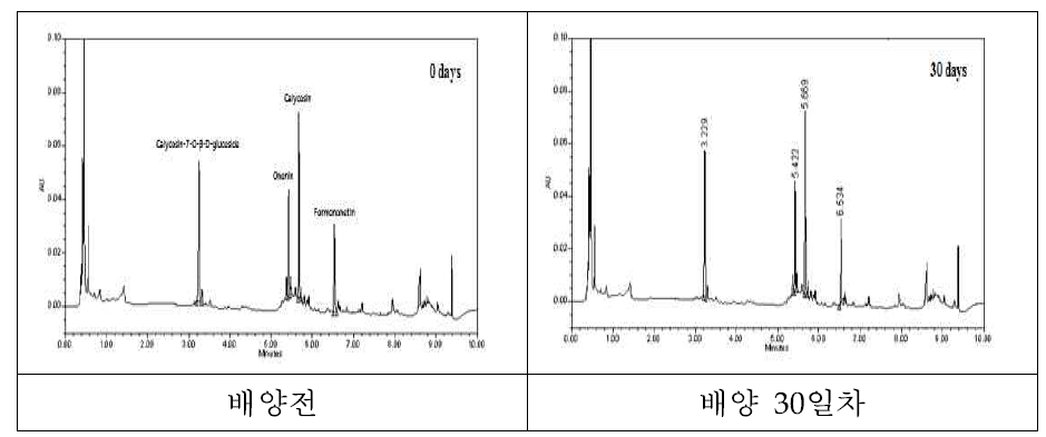 HPLC chromatogram of the 80% ethanol extracts of Astragalus membranaceus fermented with P hellinus linteus