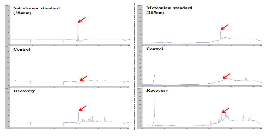 바나나 중 sulcotrione, metosulam의 표준품, 무처리 및 회수율 시료 크로마토그램
