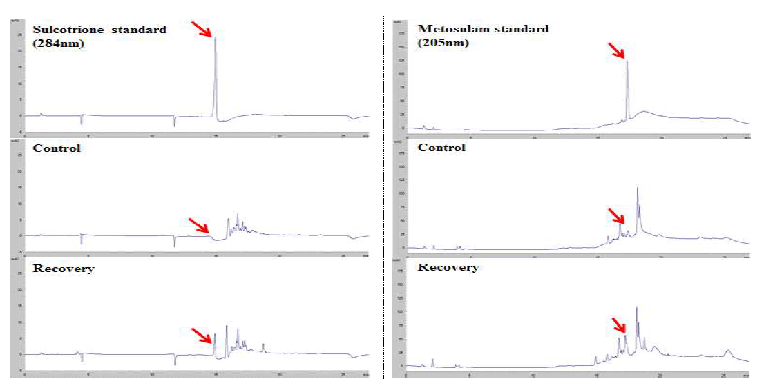 오렌지 중 sulcotrione, metosulam의 표준품, 무처리 및 회수율 시료 크로마토그램