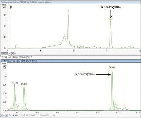 Tepraloxydim의 크로마토그램(LC-QTOF-MS)