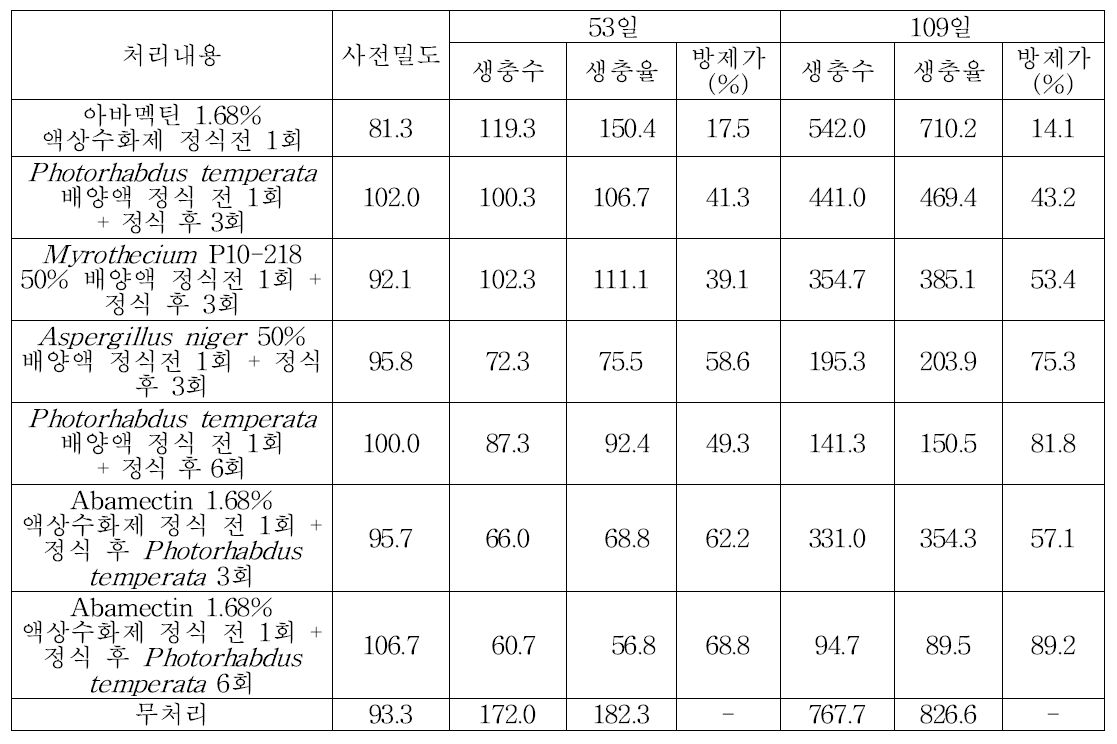 시설오이에서 Myrothecium P10-008 균 배양액의 살선충 방제효과