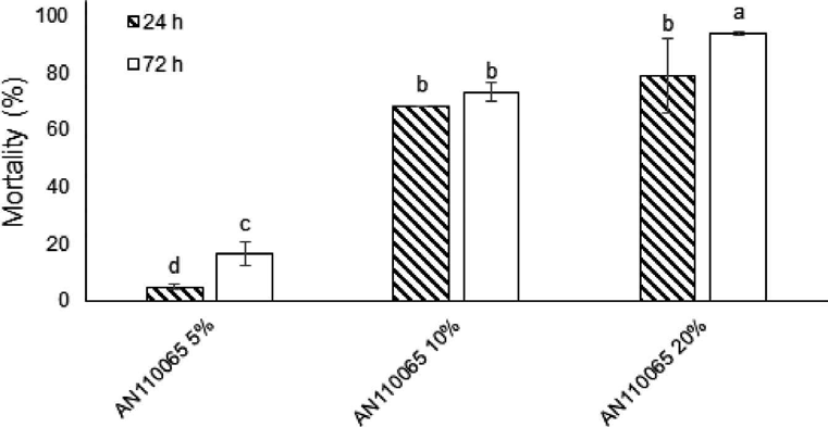 AN110065 배양액 추출물의 뿌리혹선충에 대한 살선충 활성.
