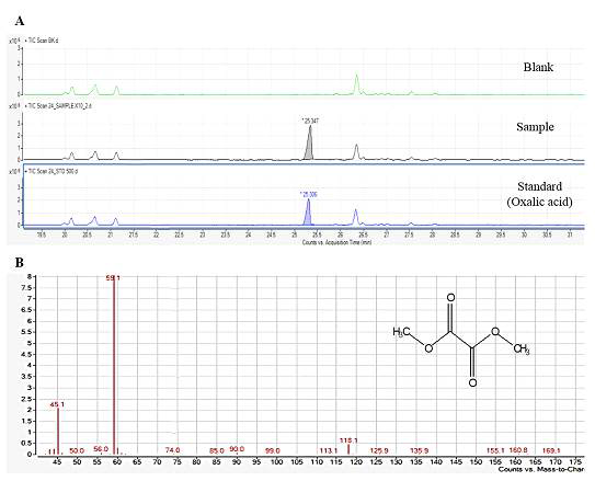 Aspergillus niger F22 배양여액의 GC-MS TIC(A)과 EI-mass spectrum(B).