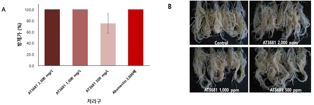 AT3681 메탄올 추출물의 토마토 뿌리혹선충 방제활성.