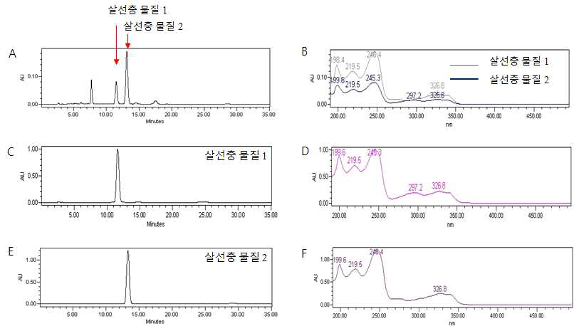 Prep-HPLC 전의 활성 분획(A)과 prep-HPLC를 통하여 분리한 두 물질의 HPLC chromatograms(B, C).