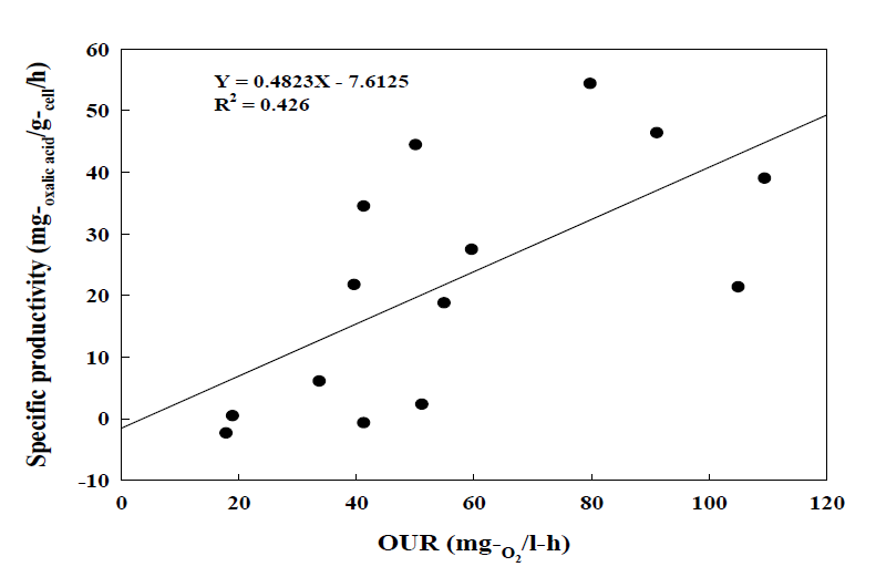 균체의 산소소비속도와 비증식 oxalic acid 생산속도와의 상관곡선.