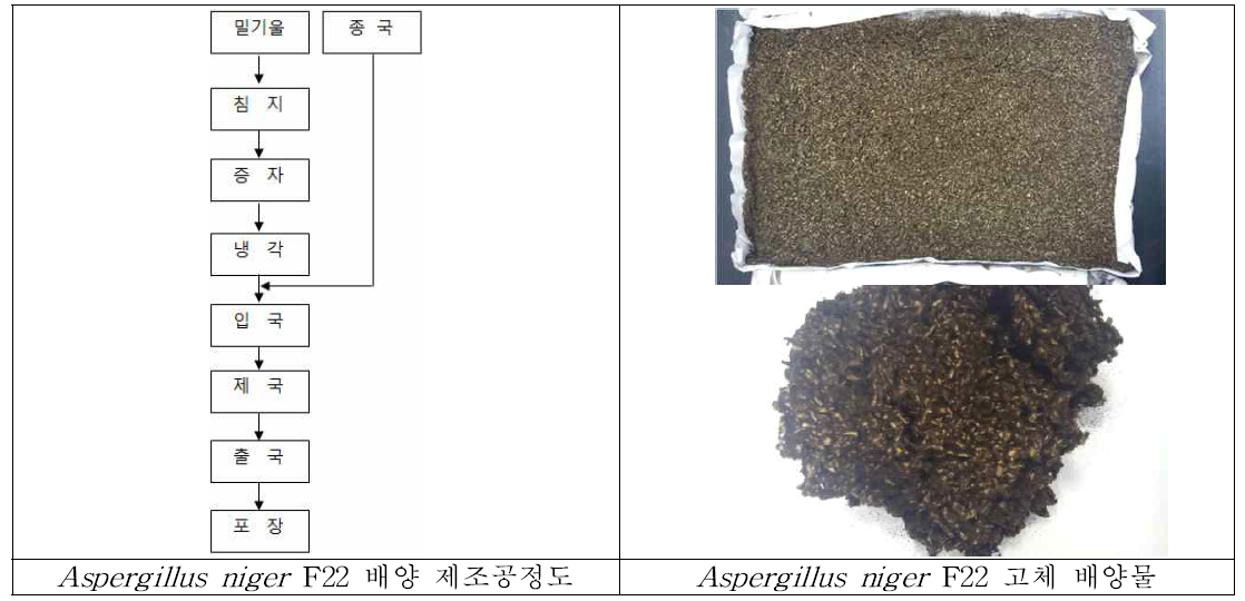Aspergillus niger F22 배양 제조공정도 및 배양물 육안관찰(Lab scale).