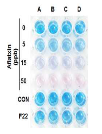 A.niger F22 배양 고체배지의 Aflatoxin Quantitative Test 결과사진
