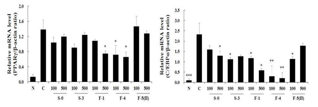 Effects of A. hookeri root hot water extract on protein expression of transcription factor to adipocytes from 3T3-L1 pre-adipocytes.
