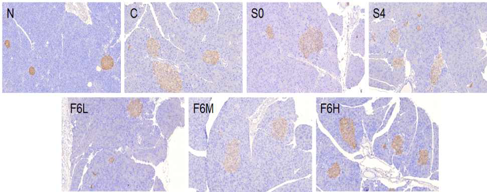 Immunohistochemistry staining for insulin in C57BL/KsJ-db/db mice fed water extracts of AHR for 8weeks.