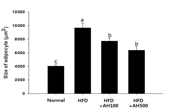 Fat size in C57BL/6J mice fed high fat diet supplemented with extracts of Allium hookeri root for 8 weeks.