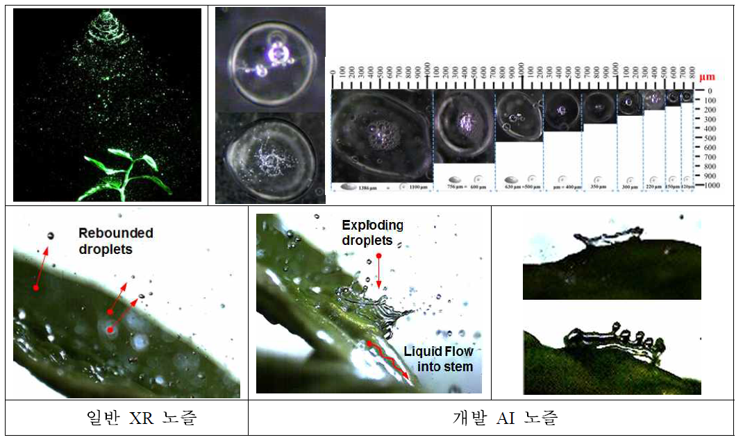 Behavior of Large-sized droplet including micro bubble