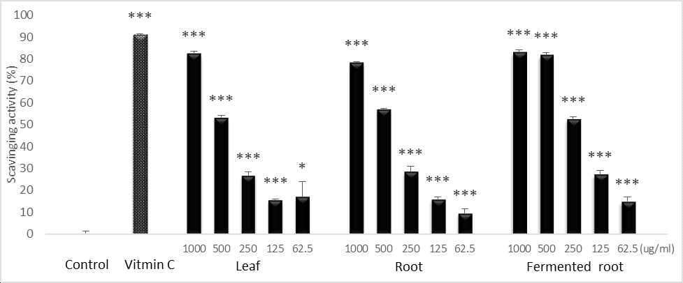 Antioxidant Effect of 70% ethanol extracts of A. hookeri leaf, root, and fermented root