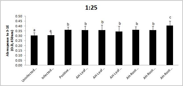 Antibody responses against 3-1E antigen at 6 days post E . aceburina infection