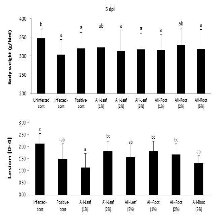 Effects of A. hookeri leaf and root on body weight and lesion score