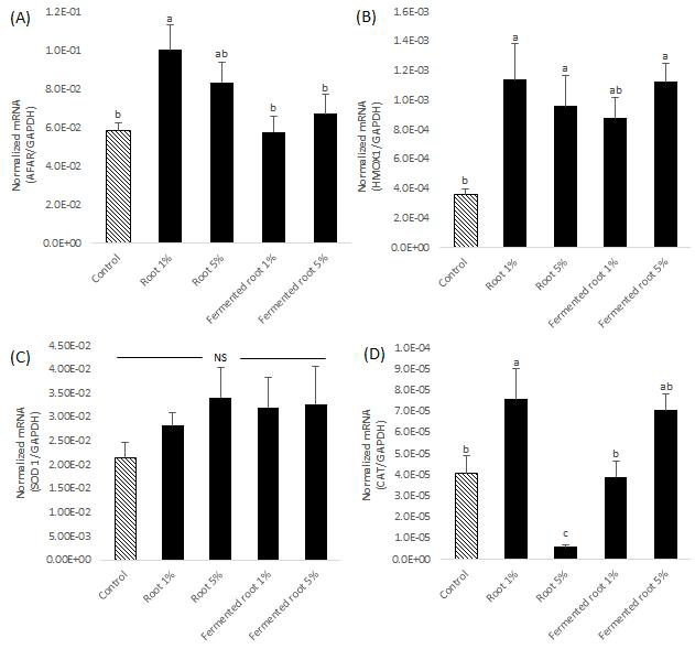 Effects of dietary Allium hookeri root and fermented root on the levels of transcripts for antioxidant enzymes
