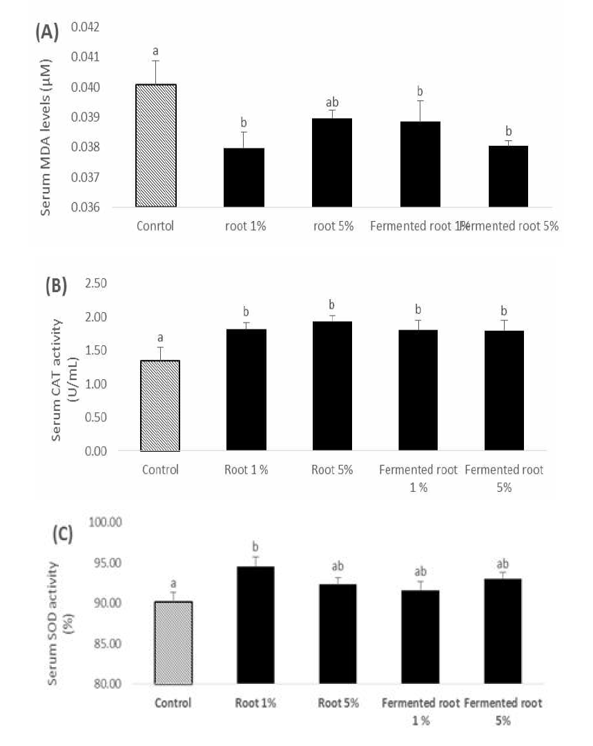 Effects of dietary Allium hookeri root and fermented root on serum MDA levels and CAT, SOD enzymes activities