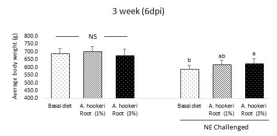 Effect of dietary supplementation with A. hookeri (1 or 3%) on body weight of broiler chickens