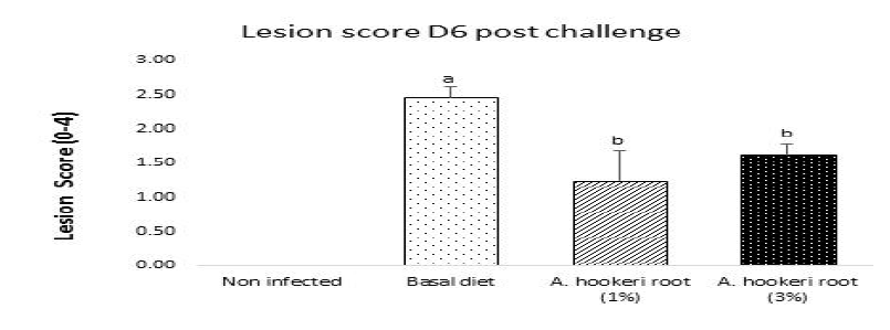 Effect of dietary supplementation with A. hookeri (1 and 3%) on intestinal lesion score of the chickens infected with E. maxima at 6 DPI