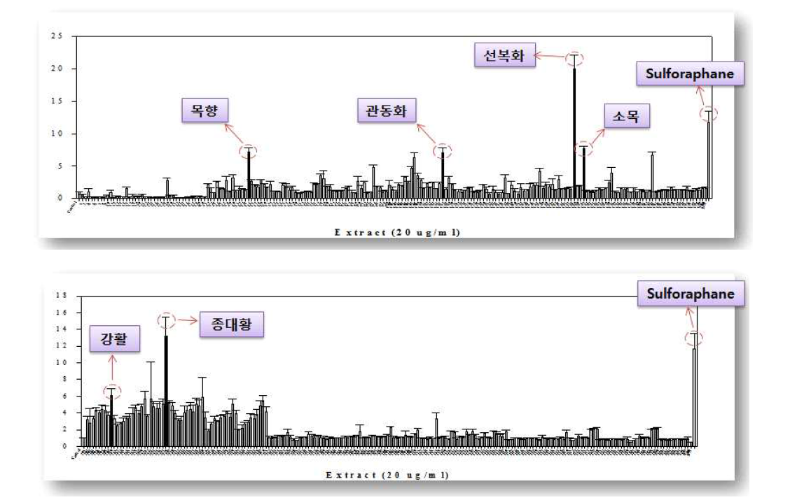 Nrf2활성을 증가시키는 우수한 소재 선별 (대조군 : 브로콜리 추출물)