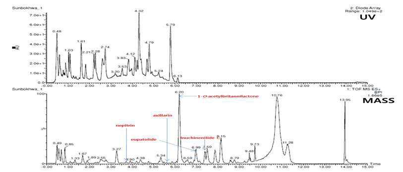 선복화추출물 LC/ESI-MS/MS분석 결과