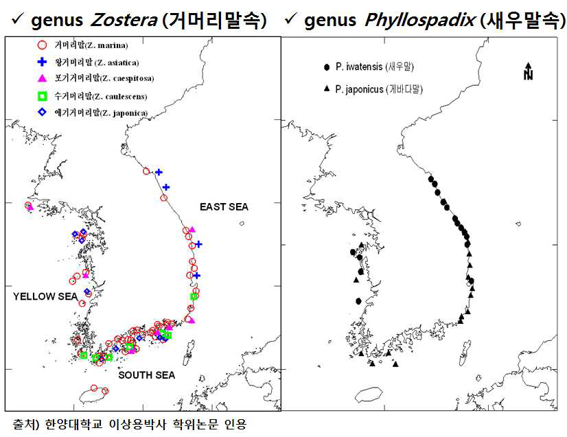 전국 잘피 종별 분포